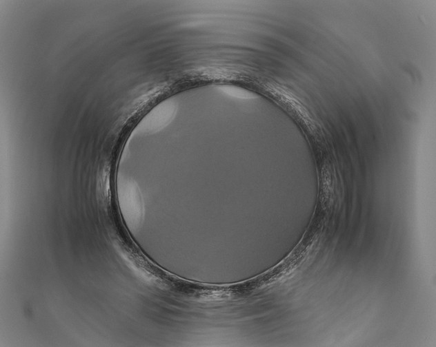 X0000110990398200907101435