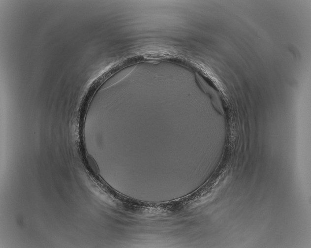 X0000110990399200907101435