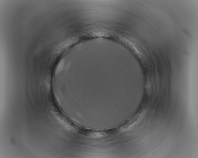 X0000110990402200907101435
