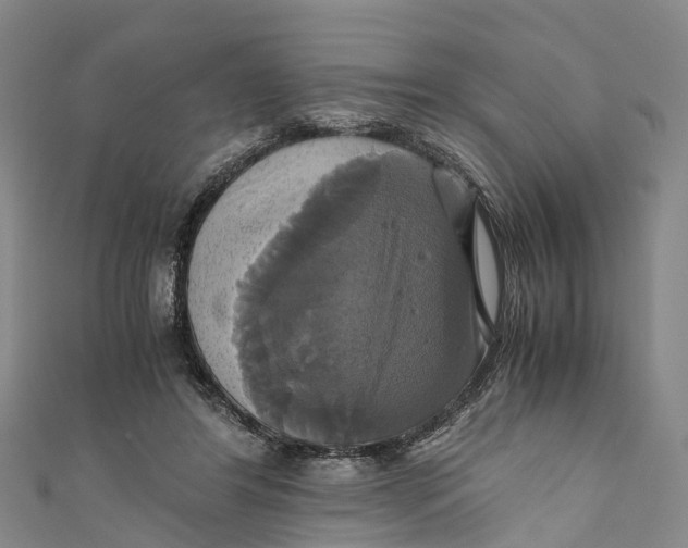 X0000110990404200907101435