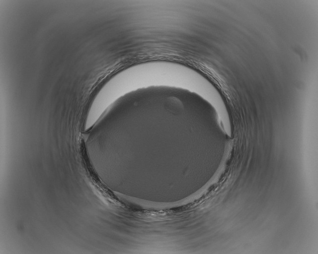 X0000110990405200907101435