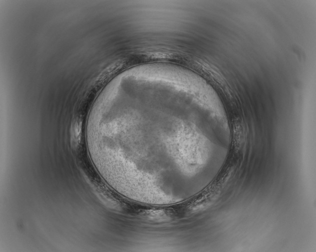 X0000110990406200907101435