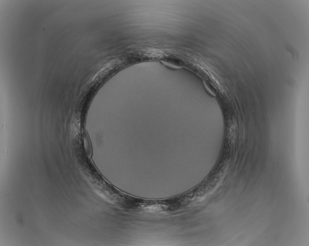 X0000110990407200907101435