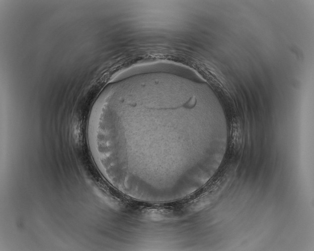 X0000110990408200907101435
