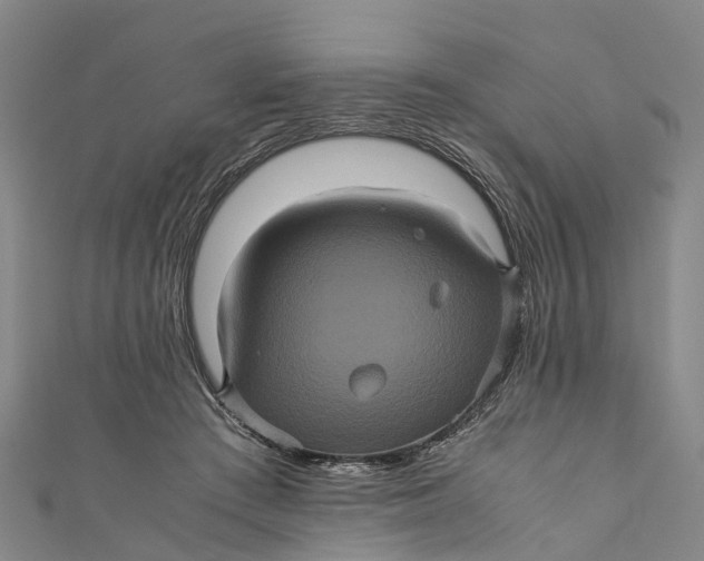 X0000110990409200907101435