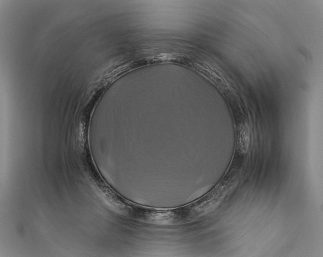 X0000110990410200907101435
