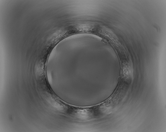 X0000110990411200907101435