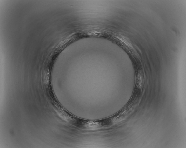 X0000110990413200907101435