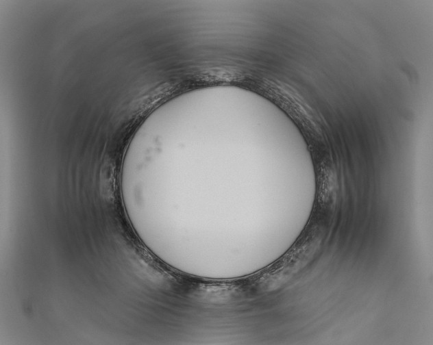 X0000110990414200907101435