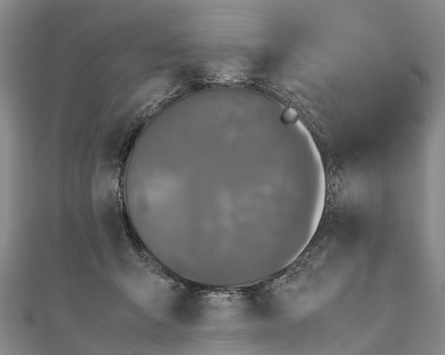 X0000110990415200907101435
