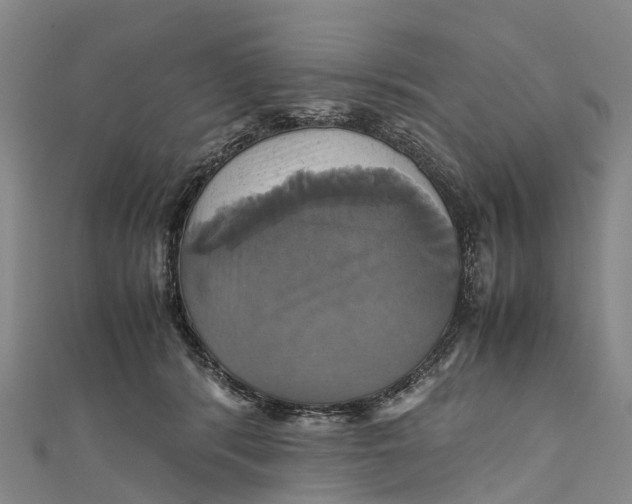 X0000110990416200907101435
