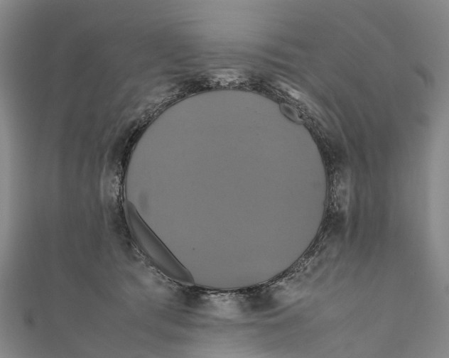 X0000110990417200907101435