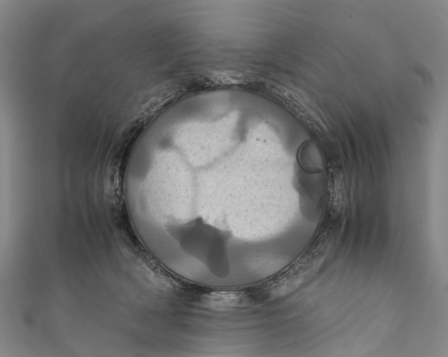X0000110990418200907101435