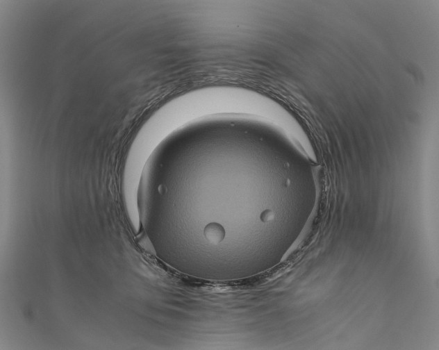X0000110990419200907101435