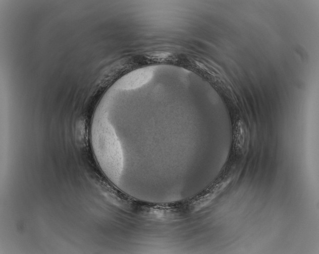 X0000110990420200907101435