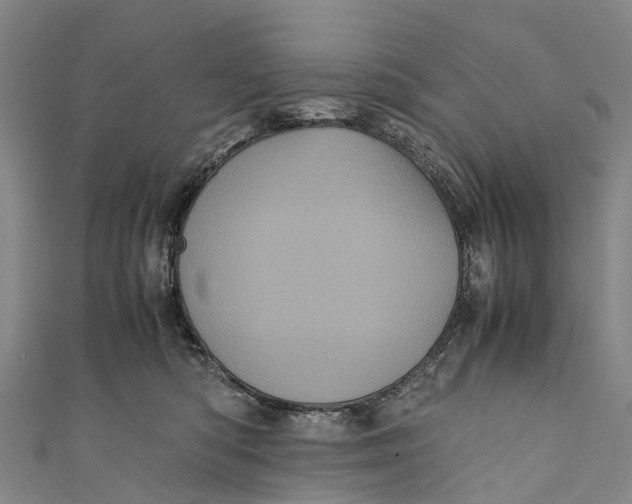 X0000110990422200907101434