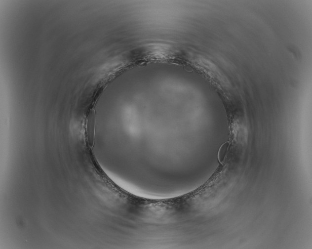 X0000110990423200907101434