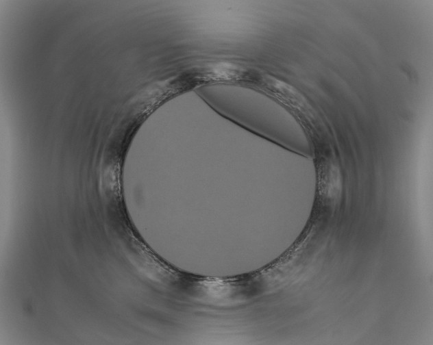 X0000110990425200907101434