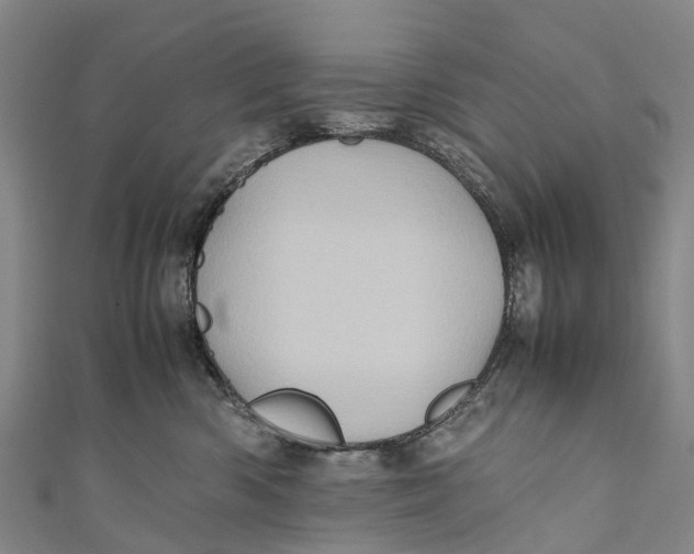 X0000110990426200907101434