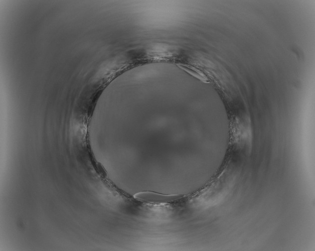 X0000110990427200907101434