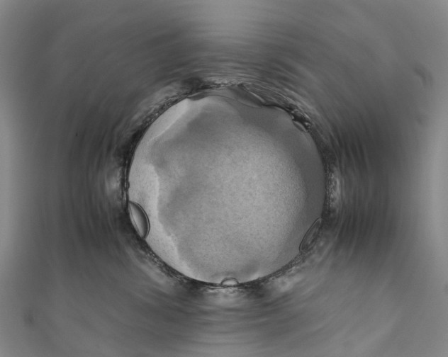 X0000110990428200907101434