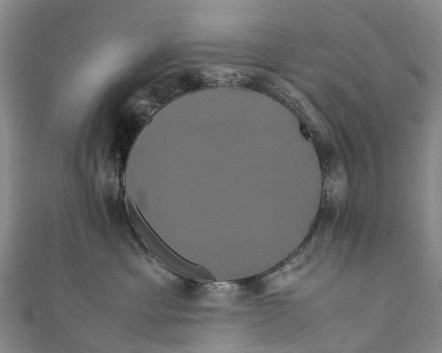 X0000110990429200907101434