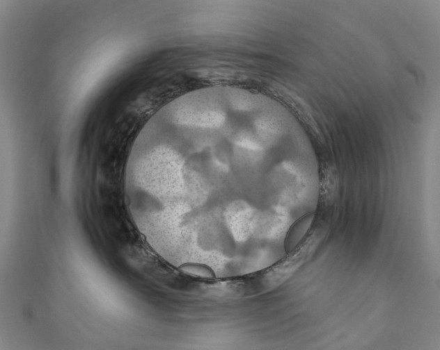 X0000110990430200907101434
