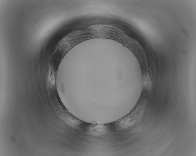 X0000110990431200907101434