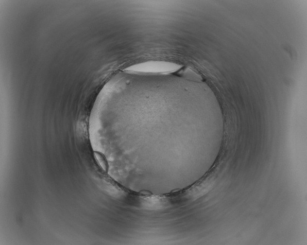 X0000110990432200907101434