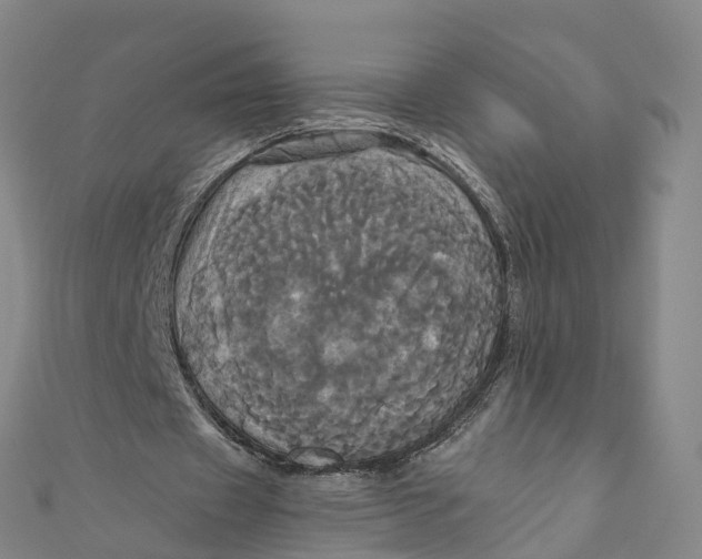 X0000110990433200907101434