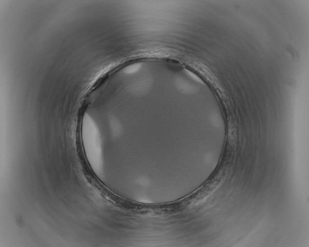 X0000110990434200907101434