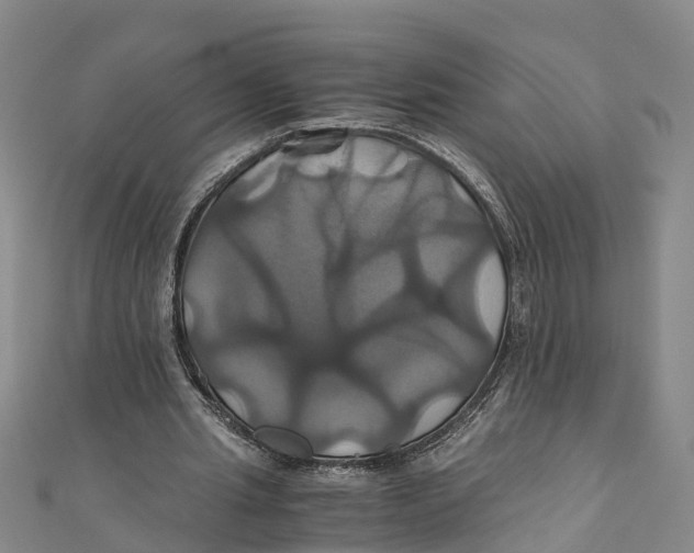 X0000110990437200907101434