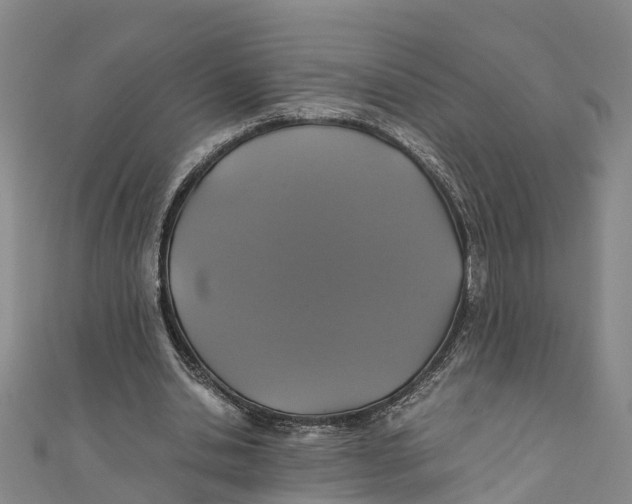 X0000110990438200907101434
