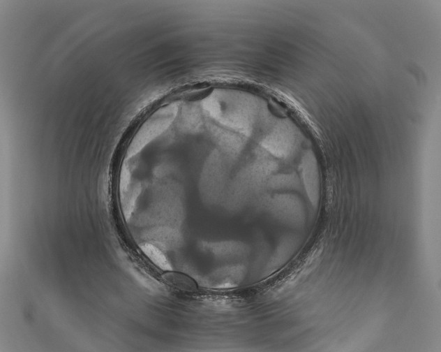 X0000110990439200907101434