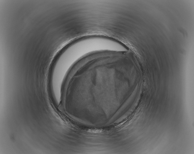 X0000110990440200907101434