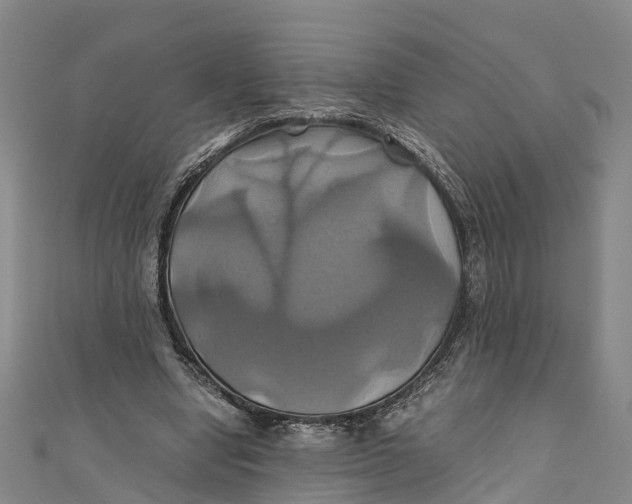 X0000110990442200907101434