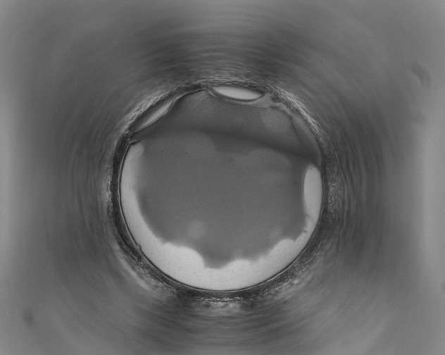 X0000110990443200907101434