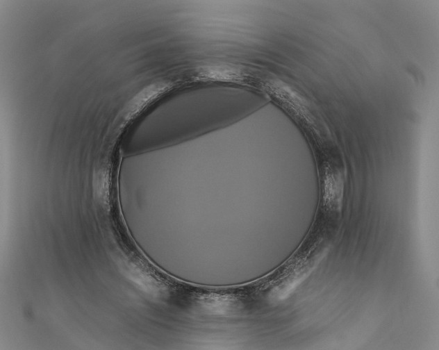 X0000110990444200907101434