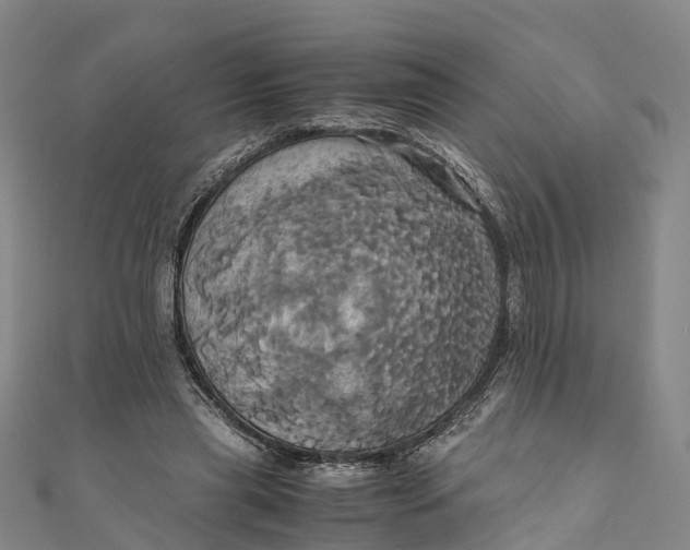 X0000110990445200907101434