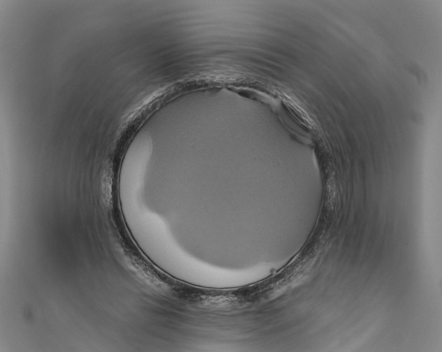 X0000110990446200907101434