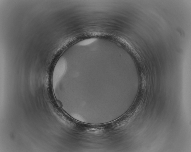 X0000110990447200907101434