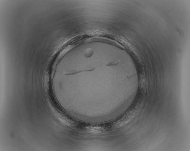 X0000110990448200907101434