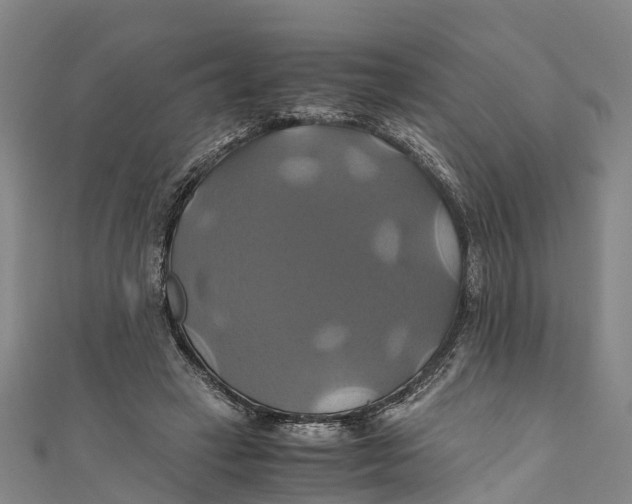 X0000110990449200907101434