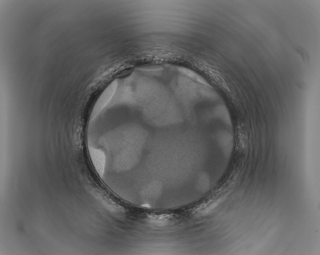 X0000110990450200907101434