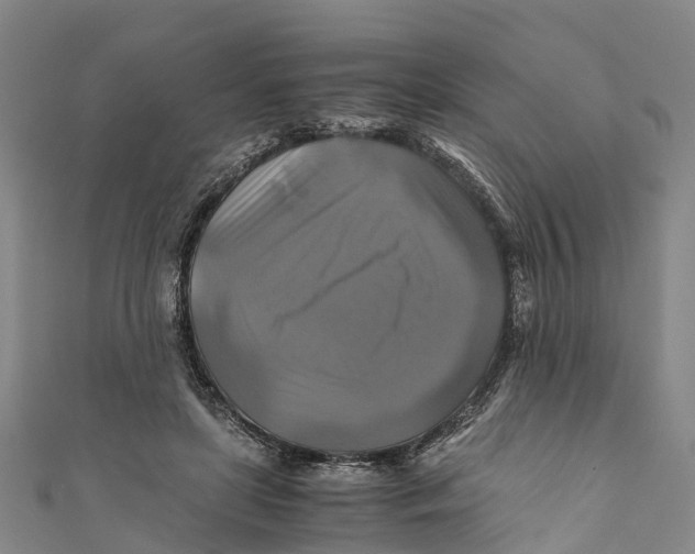X0000110990451200907101434