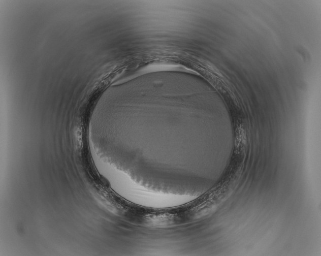 X0000110990452200907101434