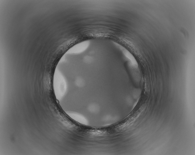 X0000110990453200907101434