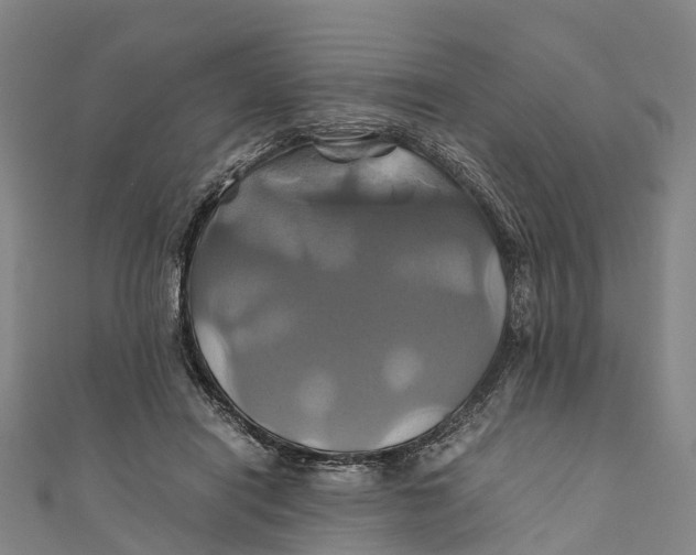 X0000110990454200907101434