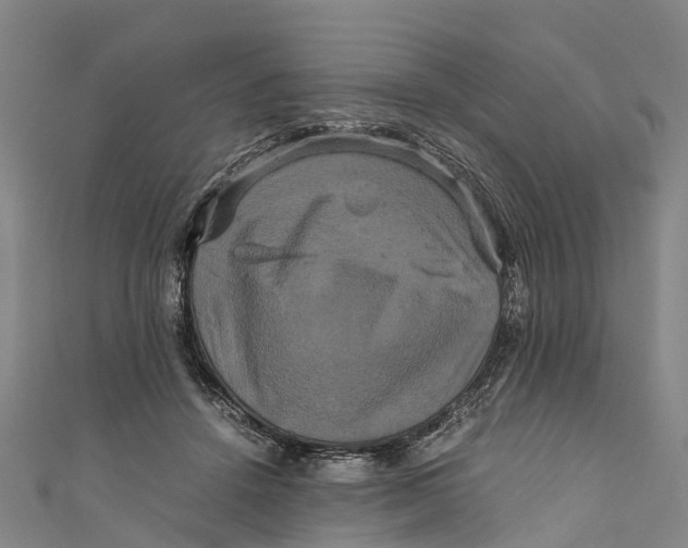 X0000110990456200907101434