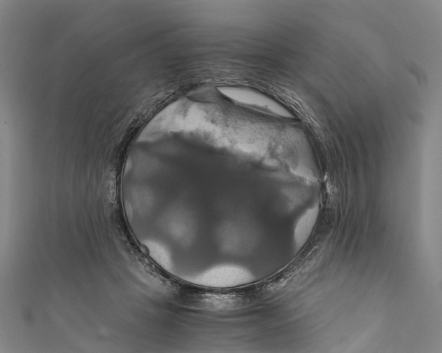 X0000110990457200907101434